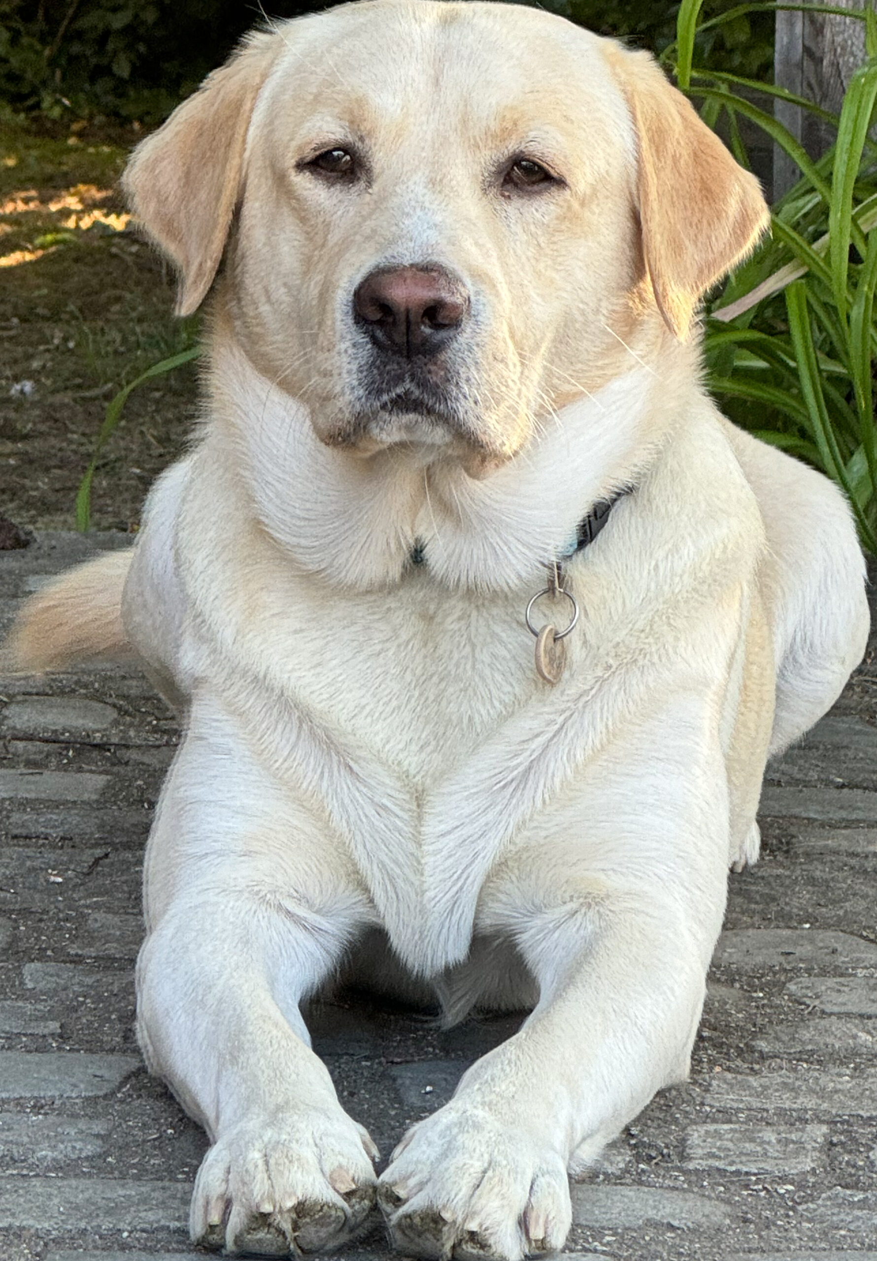 hochformat vorschau 1 scaled